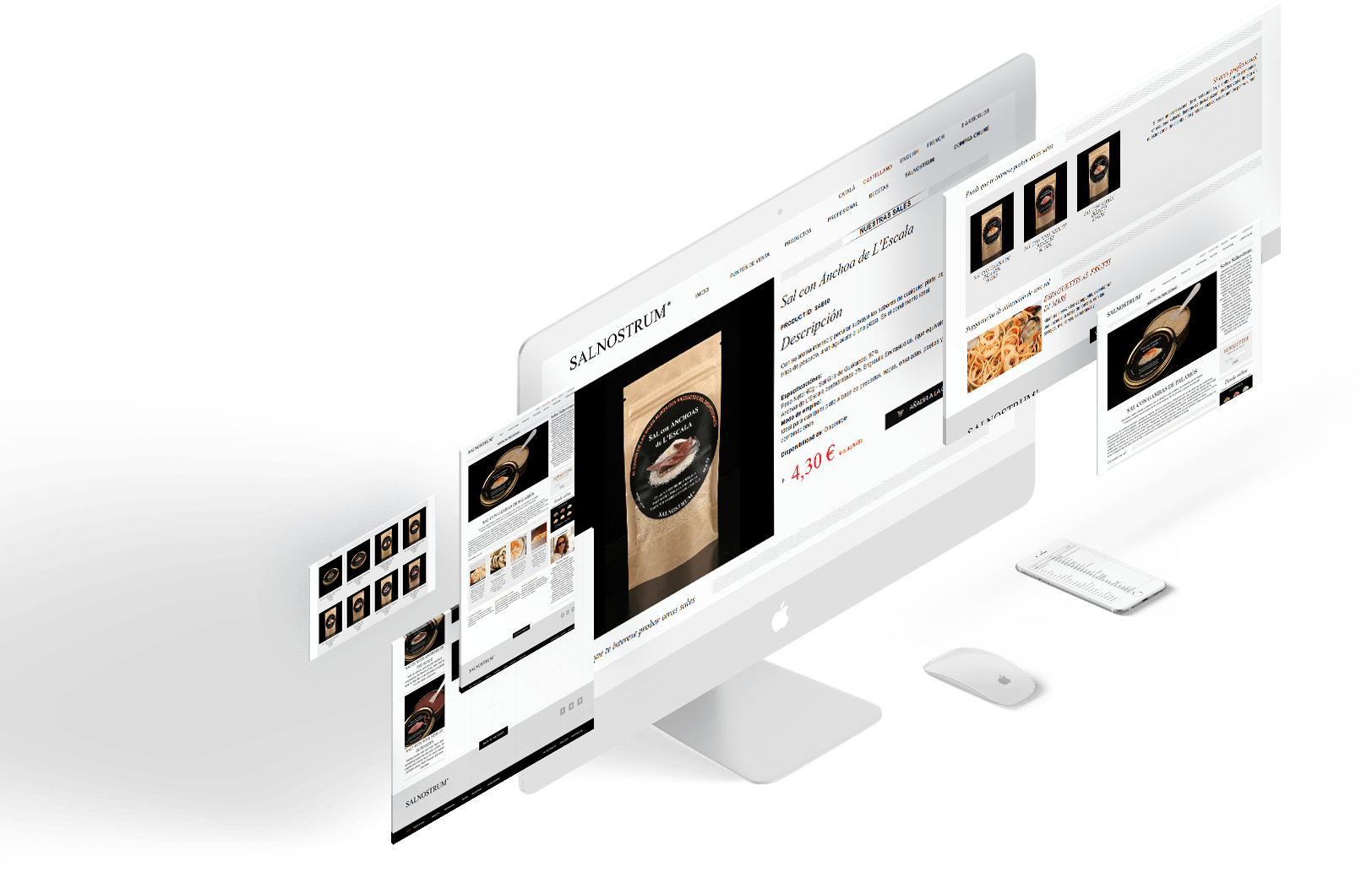 salnostrum-screen3