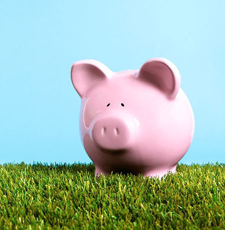 pink piggybank grass