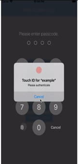 Flutter Development Company