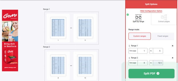 Vue.js development agency