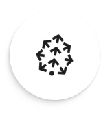 Pinecone