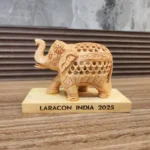 Wooden carved elephant souvenir on a stand engraved ‘Laracon India 2025’
